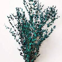 1. Eukalyptusblätter, natürliche getrocknete Blumenstiele, 100/200g echte Eukalyptuszweige für den Duschgebrauch, 2. 43cm konservierte frische Eukalyptusblätter, getrocknete Eukalyptuszweige, für Dekoration, Hochzeit, Heimdekoration, Rattanmaterial, Fotografie-Requisiten