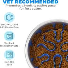 Outward Hound 2-In-1 Stainless Steel Slow Feeder Bowl, Puzzle Maze For Fast Eaters, Small To Medium Dogs, Helps Prevent Bloat &Amp; Aid Digestion, Holds 2 Cups Wet Or Dry Food, Non-Slip, Made Without BPA - ColorG - 查看 3