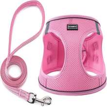 Dog Harness With Leash Set, No Pull Adjustable Reflective Step-In Puppy Pet Vest Harnesses For Small Medium Large Do And Cats,Pink - MàuJ - Xem 1