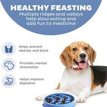 Outward Hound Medium Slow Feeder Bowl, Puzzle Maze For Fast Eaters, Small To Medium Dogs, Helps Prevent Bloat &Amp; Aid Digestion, Holds 2 Cups Wet Or Dry Food, Non-Slip, Made Without BPA, Blue - MàuA - Xem 2