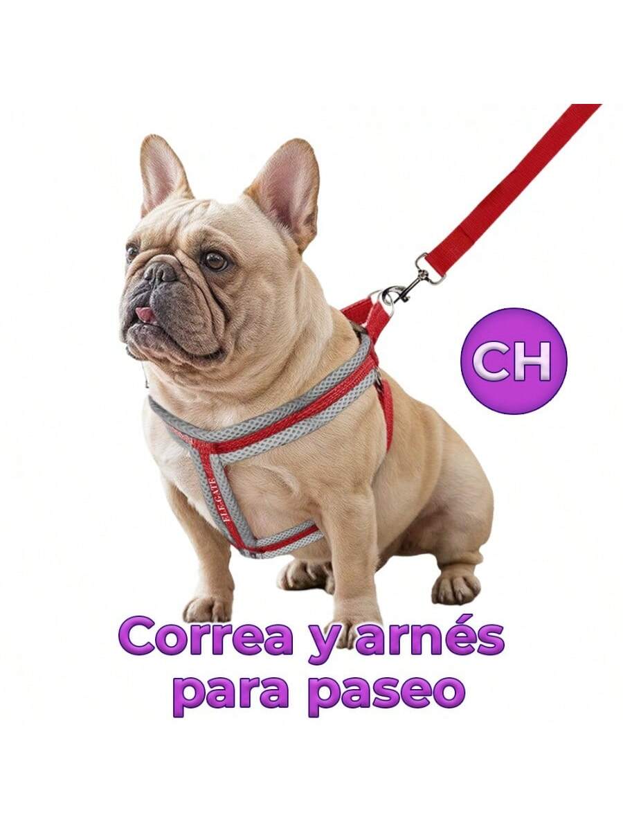 Correa para mascotas de dos colores con correa acolchada cómoda MAS.04.23.S