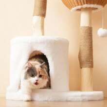 Solid Wood Cat Tree With Exercise Wheel, 4 Platforms, 2 Niches And Sisal Posts, Dimensions 80x40x152 Cm, Washable Scratching Mats, Activity Cat Tree - Natural+White + Wood - View 4