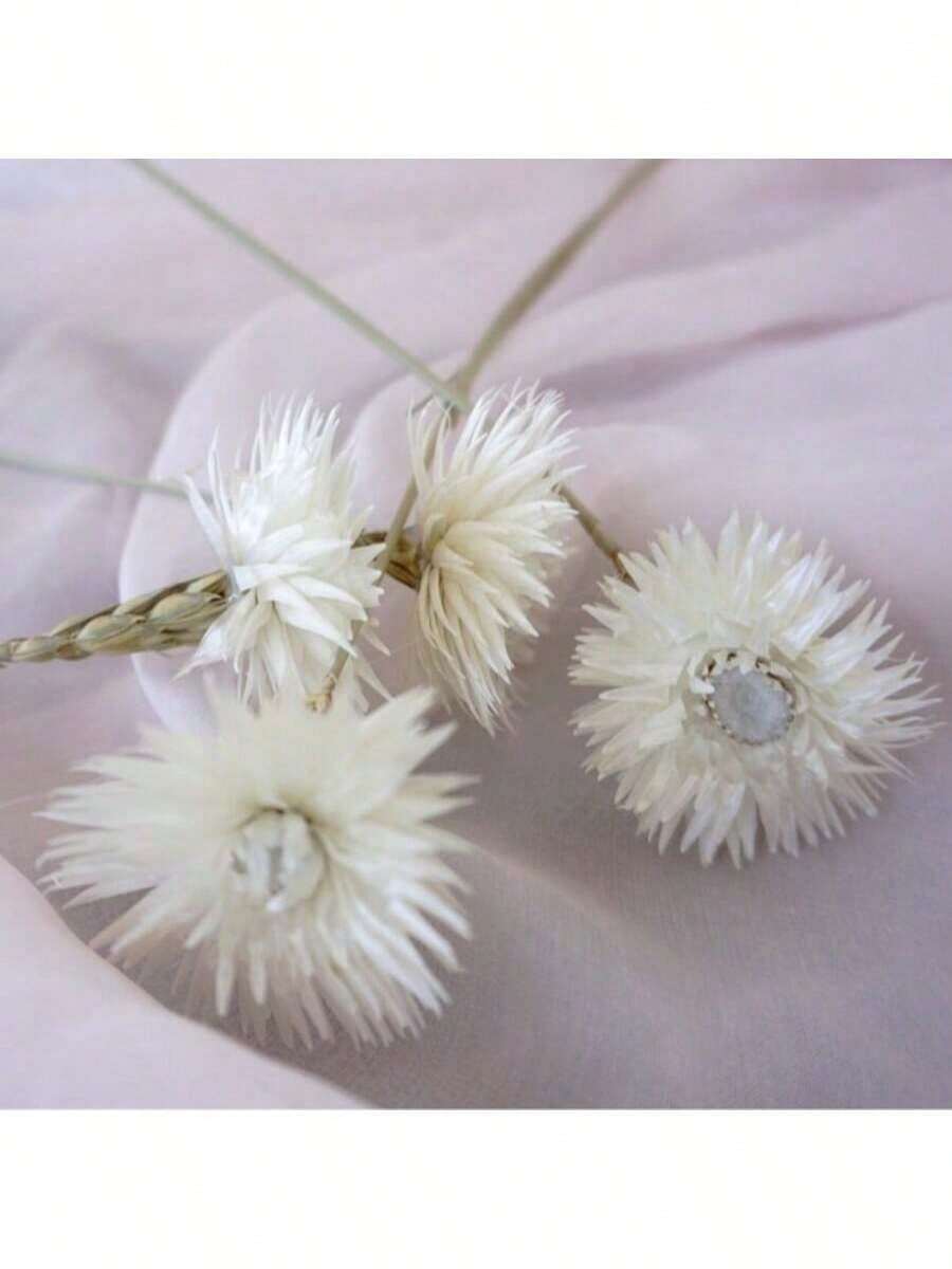 混合干麦秆菊花束，带茎干麦秆菊花头，干花摆件，家居装饰，婚礼花艺装饰