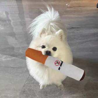 1 件仿真吠叫声毛绒狗玩具