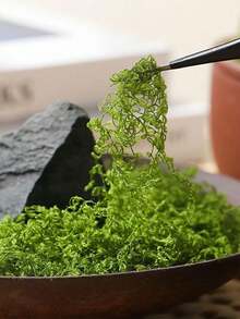 200/100/50g Artificial Moss Decoration - Realistic Greenery - Perfect For Micro Landscapes, Window Decor, And Design Layouts,Faux Moss Bionic Artificial Moss, Green Moss Micro Landscape Decor, DIY Green Plant For Lawn Potted Plant Paving Landscape Decoration, Outdoor Garden Yard Decor,Fake Plants ﻿