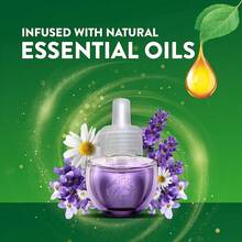 Liquid Aromatherapy & Reed Diffuser Oils - Lavender Chamomile - View 2