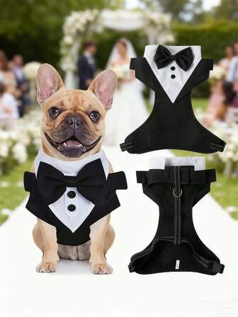 Dog Tuxedo Costume: Formal Shirt, Wedding Black Jacket Set, Pet Puppy Prince Ceremony Bow Tie Set, Small Dog & Cat Outfit, Dog Wedding Attire, Bridal Dowry Vest, Leash-Attachable Suit With Bow Tie & Necktie, Pet Harness