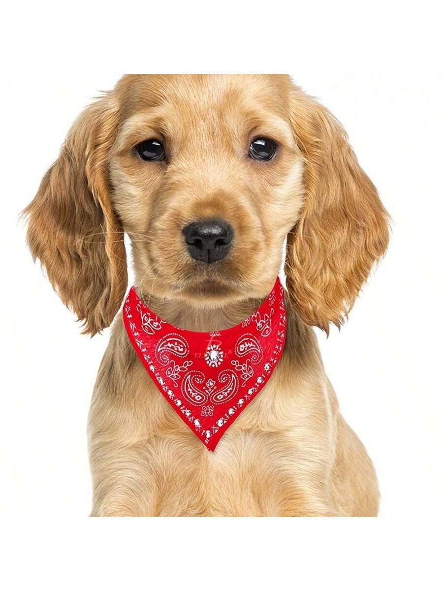 Accesorio para mascotas en forma de bufanda de poliéster hipoalergénico. Talla S