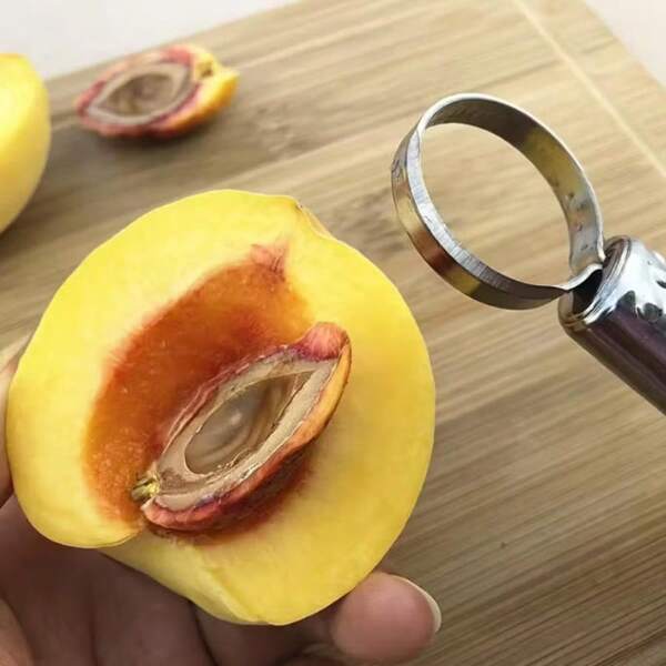 LOMILD Apricot, Cherry, Olive, Almond, Hazelnut, Pistachio, Walnut, Chestnut, Date, Fig, Mango, Avocado, Tomato, Eggplant, Okra, Macadamia, Cashew, Toad Hopper - Elegant Red Kitchen Gadget With Easy Handle - Perfect For DIY Enthusiasts & Experienced Chefs - Ideal Holiday Gift - Compatible With Kitchen Appliances, Canning, Roasting, & Long-Term Preservation - Enhances Dining Experience, Hospitality, Restaurant Supply