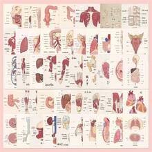 50 hojas/paquete Pegatinas de atlas anatómico de dibujos animados DIY Decoraciones para papelería, libros, tazas, maletas, guitarras, cascos Pegatinas de vinilo reutilizables con diagramas detalladosBodyuerpo