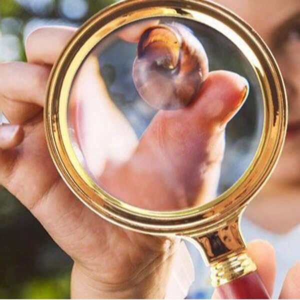 High-Definition Metal Handheld Magnifying Glass, Equipped With An Ergonomic Handle, Does Not Require Power Supply. Suitable For Use During Ramadan And Other Events, It Is Applicable For Reading Books, Newspapers, Outdoor Scientific Observation And Starting Fires. Professional High-Power Magnifying Glass With Powerful Magnification Function, Dental Magnifying Glass