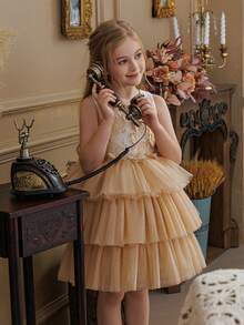 Young Girl 3D Floral Decor Tulle Princess Party Dress, Elegant Girls Birthday Party Wedding Flower Girl Holiday Celebration Outfit - Champagne - View 6