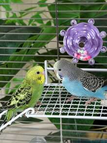 1pc Parrot Perch Stand, Metal Material Durable & Non-Slip, Suitable For Parrot Resting & Jumping, Random Style Delivery