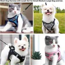 Dog Harness With Leash Set, No Pull Adjustable Reflective Step-In Puppy Pet Vest Harnesses For Small Medium Large Dog And Cat,Sky Blue - Màu15 - Xem 6