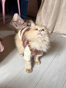 可爱毛绒狗狗猫咪背心外套，带3D小熊和领结 - 宠物服装，适合中小型犬猫，柔软保暖宠物服