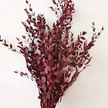 1. Eukalyptusblätter, natürliche getrocknete Blumenstiele, 100/200g echte Eukalyptuszweige für den Duschgebrauch, 2. 43cm konservierte frische Eukalyptusblätter, getrocknete Eukalyptuszweige, für Dekoration, Hochzeit, Heimdekoration, Rattanmaterial, Fotografie-Requisiten