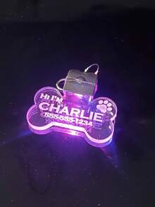 Customized LED Pet Collar For Dog And Cat, Laser Engraved Personalized Name Collar, Glow-In-The-Dark Waterproof Pet Collar, Adjustable High Visibility Color-Changing LED Dog Collar For Night Walking - Multicolor - View 6