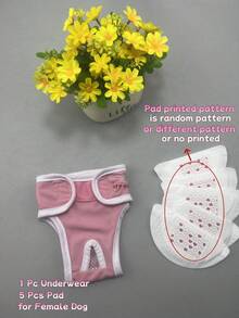 Dog Underwear For Famale Dog Physiological Period Pink Blue With 5 Pc Physiological Pad - Multicolor - View 13