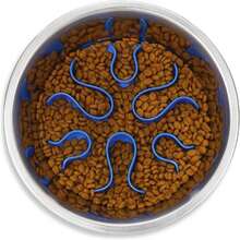 Outward Hound 2-In-1 Stainless Steel Slow Feeder Bowl, Puzzle Maze For Fast Eaters, Small To Medium Dogs, Helps Prevent Bloat &Amp; Aid Digestion, Holds 2 Cups Wet Or Dry Food, Non-Slip, Made Without BPA - ColorG - 查看 1