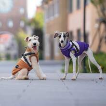 适合小型和中型犬的可调节狗狗外套 - 反光羊毛衬里，可调节扣环和双D形环胸背带，撞色保暖内衬宠物背心 - 彩色 - 查看 12