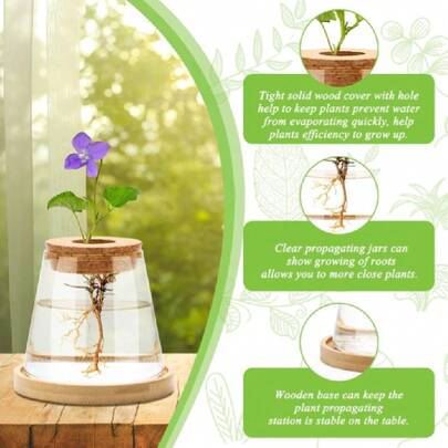 2 Pcs Plants Propagation Station, Separated Desktop Glass Planter Station Hydroponics Plant Terrarium With Wooden Tray And Lid Glass Vase Propagating Jars Gifts For Women Mom Plant Lovers,24623515