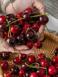 20 piezas de cerezas artificiales, cerezas falsas, modelo de fruta de cereza de espuma, fruta artificial, decoración del Día de San Valentín, comida falsa, cereza artificial de espuma, decoración de fruta artificial de cereza falsa, modelo de fruta de cereza artificial de 30/50/100 piezas, accesorios de fotografía, regalo decorativo, regalo de cumpleaños, decoración de fiesta, decoración del hogar, regalo de Navidad, regalo del Día de San Valentín, regalo de Año Nuevo - Multicolor - Ver 2