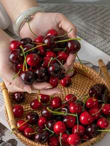 20 piezas de cerezas artificiales, cerezas falsas, modelo de fruta de cereza de espuma, fruta artificial, decoración del Día de San Valentín, comida falsa, cereza artificial de espuma, decoración de fruta artificial de cereza falsa, modelo de fruta de cereza artificial de 30/50/100 piezas, accesorios de fotografía, regalo decorativo, regalo de cumpleaños, decoración de fiesta, decoración del hogar, regalo de Navidad, regalo del Día de San Valentín, regalo de Año Nuevo - Multicolor - Ver 9