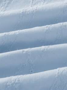 大码女式甜美 V 领长袖高腰刺绣衬衫上衣，适合通勤，春秋季 - 淺藍色 - 查看 11