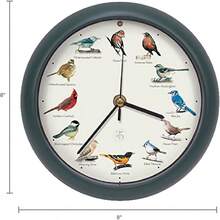 , el reloj de pjaros cantantes, edicin del 25 aniversario, 13 pulgadas, verde - 8 pulgadas/3 2/3 onzas + Verde - Ver 3