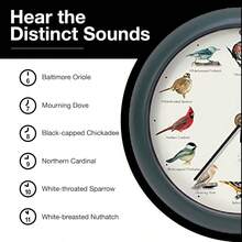 , el reloj de pjaros cantantes, edicin del 25 aniversario, 13 pulgadas, verde - 8 pulgadas/3 2/3 onzas + Verde - Ver 7