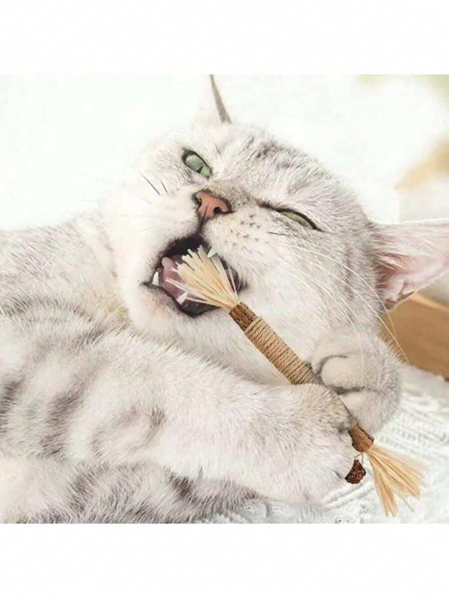22cm Bastone da masticare per gatti, giocattolo per la cura dei denti dei gatti, bacchetta di addestramento, spuntino per animali domestici - Multicolore - Visualizzare 1
