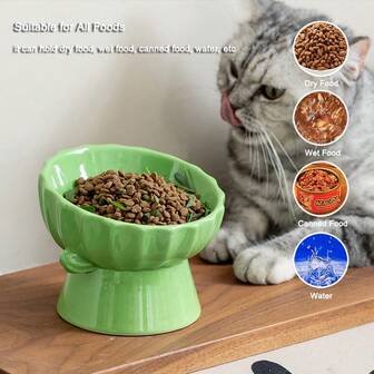 可爱的仙人掌猫碗 | 陶瓷凸起喂食器，保护猫的脊椎和颈椎