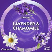 Liquid Aromatherapy & Reed Diffuser Oils - Lavender Chamomile - View 3