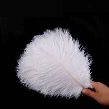 5Pcs/Lot 20-25cm Colorful Artificial Ostrich Feathers For Crafts Wedding Decoration Handicraft Accessories Table Centerpieces Carnival Plumas Decor - Multicolor - View 18