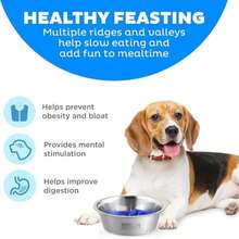 Outward Hound 2-In-1 Stainless Steel Slow Feeder Bowl, Puzzle Maze For Fast Eaters, Small To Medium Dogs, Helps Prevent Bloat &Amp; Aid Digestion, Holds 2 Cups Wet Or Dry Food, Non-Slip, Made Without BPA - ColorG - 查看 2