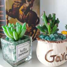 400G Piedras verdes de aventurina en forma de chips pulidos, cristal de cuarzo triturado con forma asimétrica de grava y guijarros lisos para llenar macetas, resina, arte, jarrones, acuarios, terrarios, regalos de festival para niñas y mujeres. 200G - aventurina verde - Ver 7