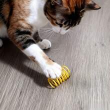 Pet Cat Self-Playing Toy, Plastic Colorful Spring Bouncing Interactive Teaser For Cats, Cat Supplies Cat Spiral Spring/Paper Crinkle Toys, 4/8/20 Pcs, Creative Toys To Kill Time And Keep Healthy Heavy-Duty Plastic Colorful Toys For Batting, Biting, Hunting, Suitable For Kittens, Valentine's Day Gift For Cats/Dogs - 彩色 - 查看 2