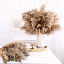 5/10/15/25/30支装蓬松高蒲苇草花束 - 17英寸天然棕色波西米亚风婚礼花艺、圣诞家居及派对装饰 - 棕色 - 查看 2
