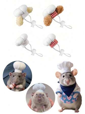 1件/2件新款仓鼠厨师帽，搞笑仓鼠变身厨师帽，仓鼠，豚鼠，小宠物帽，蛇，鹦鹉，鸟，鸡，鸭，蜥蜴帽