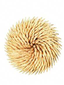 500 支大号木制圆形牙签，天然竹木牙签，透明塑料收纳盒 - 坚固耐用，适用于派对、开胃菜、橄榄、烧烤、水果、牙齿清洁（2 种款式）