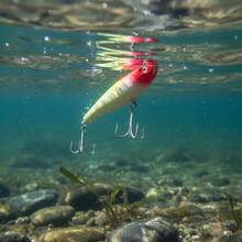 Fishing Lures - 顏色 114 - 不透明八代 - 查看 5