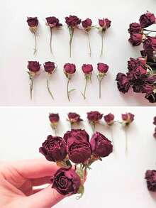 Dried Burgundy Mini Roses (5pcs) - Floral & Resin Crafts
