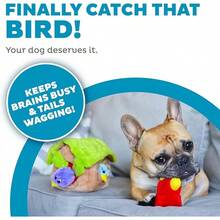 Outward Hound Squeakin' Eggs Plush Dog Toys - 3 Pack - 鳥 - 查看 6
