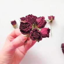 Dried Burgundy Mini Roses (5pcs) - Floral & Resin Crafts