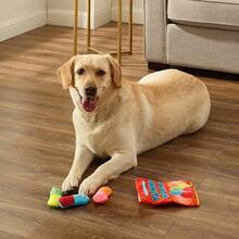 Outward Hound Squeakin' Eggs  Dog S - 3 Pack - 美味的蠕蟲 - 查看 5