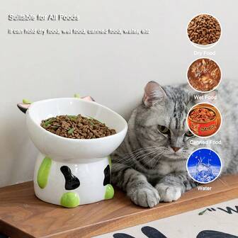 1个可爱奶牛手绘陶瓷加高猫碗，保护颈部