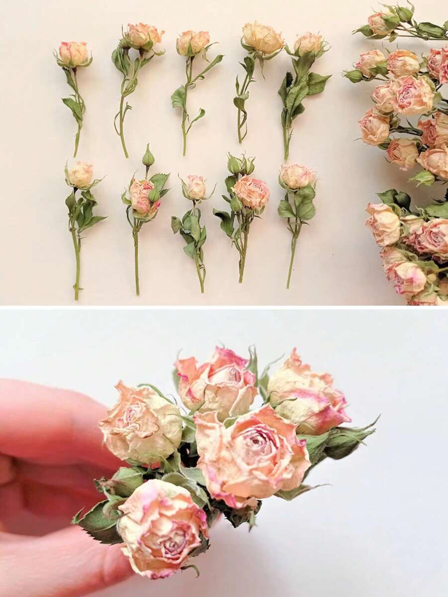 Dried Ivory Pink Mini Roses: Boho Wedding Crafts, Resin Art - Pink - View 1