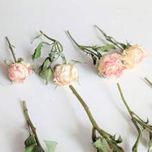 Dried Ivory Pink Mini Roses: Boho Wedding Crafts, Resin Art - Pink - View 4