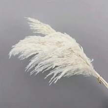 10 piezas, 45cm de alto Ramo de flores de pasto pampa blanco natural esponjoso, decoración de mesa para bodas, estilo bohemio, verano y otoño, graduación, regreso a clases, Día de la Independencia, Día de la Madre, Navidad