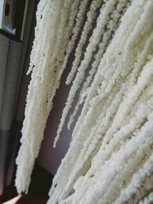 5pcs Elegant Preserved Wisteria Vine - Dried Flowers, Suitable For Wedding Bouquets, Wall Decor And Home Accents - White - View 5